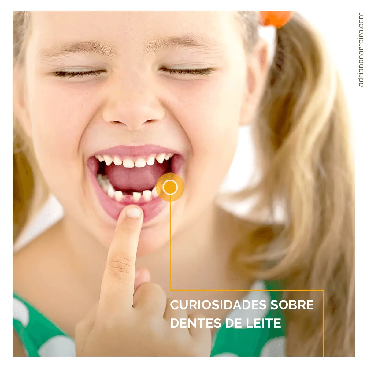 10 Curiosidades sobre os Dentes de Leite